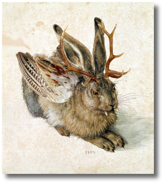 Rauhracherl-Hase nach Albrecht Dürer